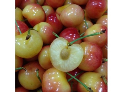 智利金色車厘子