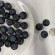 Jumbo blueberry