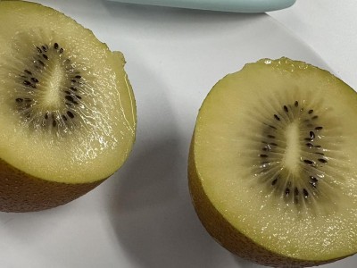 佳沛奇異果