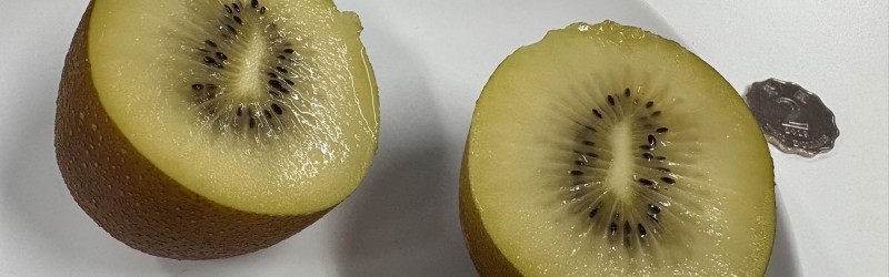Zespri kiwi