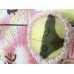 水蜜桃(水著版) 15-18個
