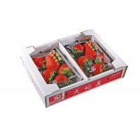 高貴蘿蔔-大妃美