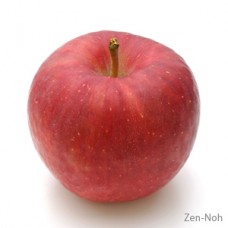 New Zealand Queen 皇后