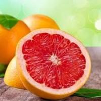 澳洲血橙