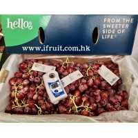 i-Vitis Vinifera Seedless Grape (Box) 