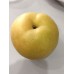 Korea Pear