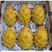i-PITAYA-YELLOW