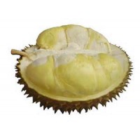 Durian