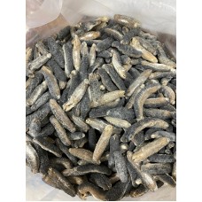 Catty Sea Cucumber