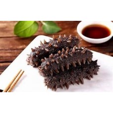 Adenophora Sea Cucumber