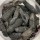 Catty Japan Hokkaido Prickly Sea Cucumber (Northwest)