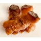 Dried Conch Meat