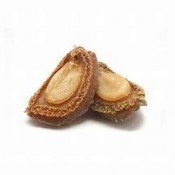 Abalone
