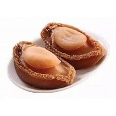 Catty Middle East Abalone (22-26pcs)