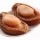 Catty Middle East Abalone (22-26pcs)