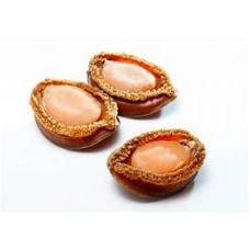 Catty Japan Kippin Abalone (22-25pcs)