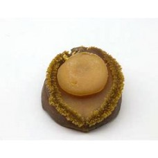 Catty Selected Japan Ami Abalone (10-12pcs)