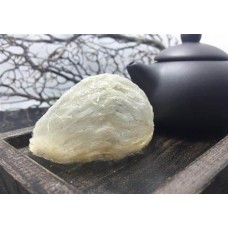 Bird's Nest