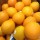Egypt Orange