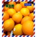 Egypt Orange