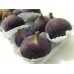 Fig (South Africa) 160g