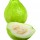 i-Guava 