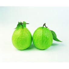 i-Guava - 中山月芭