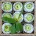 i-Guava - 中山月芭