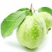 i-Guava - 彩虹芭樂