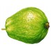 i-Guava - 彩虹芭樂