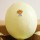 Honeydew melon
