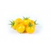 Cherry tomato-YELLOW (50g x 10)