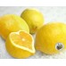 i-Lemon of Japan