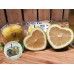 i-Lemon of Japan
