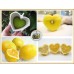 i-Lemon of Japan