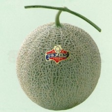 Water Melon