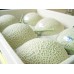 Water Melon