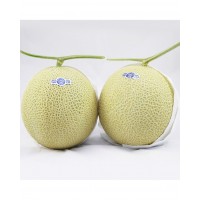 静岡皇冠 青肉蜜瓜(每箱5-6個)