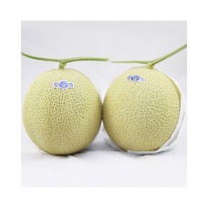 i-T Crown Melon