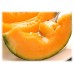 Water Melon