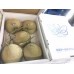 i-Arus Melon