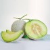 i-Arus Melon