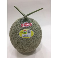 熊本縣本疊打蜜瓜(每箱5-6個) 熊本縣本疊打蜜瓜(每箱5-6個)