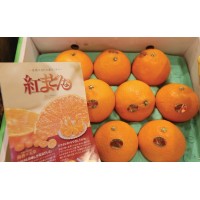 日本愛媛「紅麥當娜」血橙(每箱) 日本愛媛「紅麥當娜」血橙(每箱)