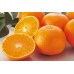 i-Red Orange (box)