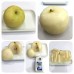 Pear of Japan(12-16/Box)