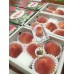 i-Peach of Japan 5-6/box