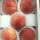 Japan Peach 4-6's/Box