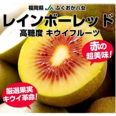 Rainbow Kiwis