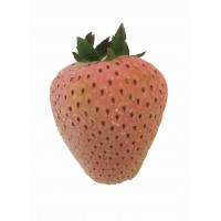 日本雪兔士多啤梨(50g)